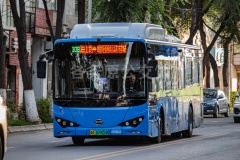 XNN108A0 西宁公交 108路 青A07922D BYD6122LGEV7