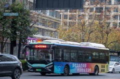 HGH81A0 杭州公交 81路 浙A05952D GTQ6121BEVB30