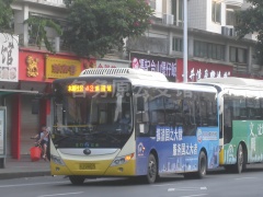 江门公汽 43路 粤J58825 ZK6815BEVG3(E8)