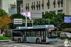 重庆公交 403路 渝A03196F ZK6125CHEVNPG35