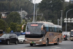 郴州郴汽 503路 湘L10623D  ZK6116BEVQY15