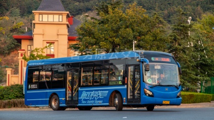 真情巴士 黄岛803路区间 鲁BW8559 SWB6121EV6