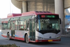 大连公交 409路 辽BL4849 CK6120LGEV2(K9A)