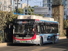 通恒公汽 811路 鄂A19522F ZK6105CHEVNPG39（H10）