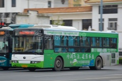 山东交运 795路 鲁AW6828 ZK6105HG2
