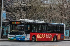 沈阳公交 168路 辽AN6855 DD6129PHEV1N