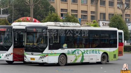 江安公交 江安9路 川Q51551 ZK6805BEVG11(E8Mini) 