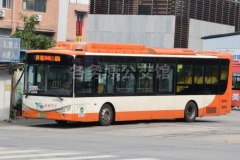 新穗巴士 244A路 粤A28810D HFF6124G03EV31
