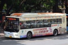 新穗巴士 833路 粤ABT080 TEG6106BEV13