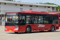 珍宝巴士 221路 粤ABQ490 HQK6109BEVB3