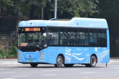 佛广公汽 佛252路 粤E00045F FDE6850PBFCEV04