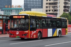 广州公交 583路 粤A07267D GZ6122LGEV